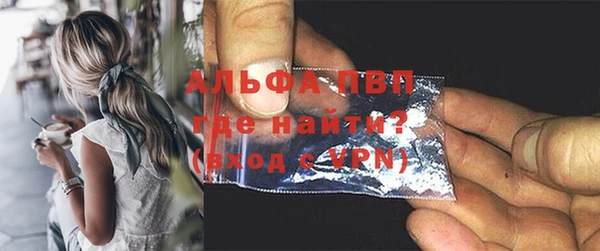 прущие крисы Бородино