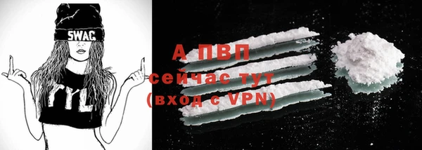 прущие крисы Бородино