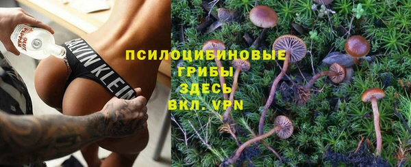 мяу мяу мука Бугульма