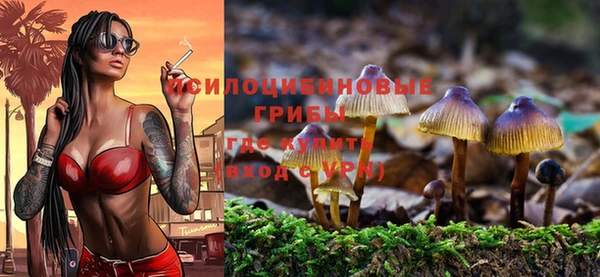 прущие крисы Бородино