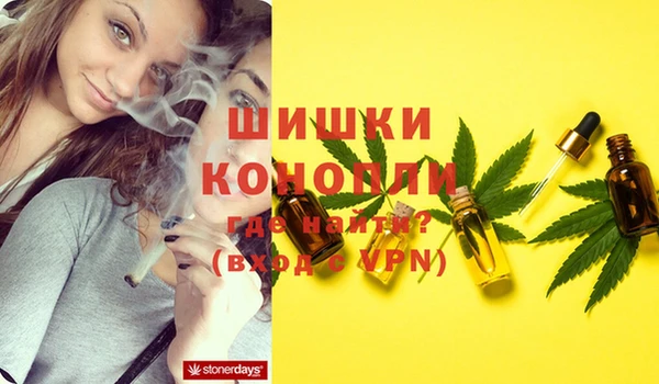 винт Бронницы