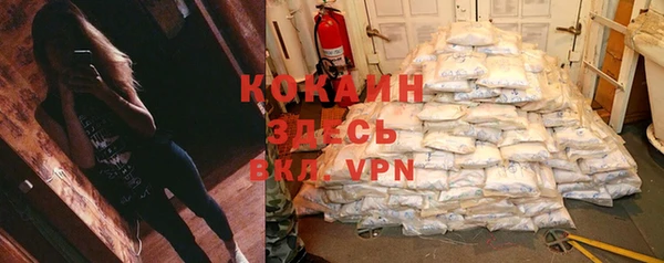 прущие крисы Бородино