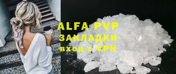 прущие крисы Бородино