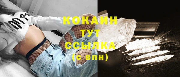 прущие крисы Бородино