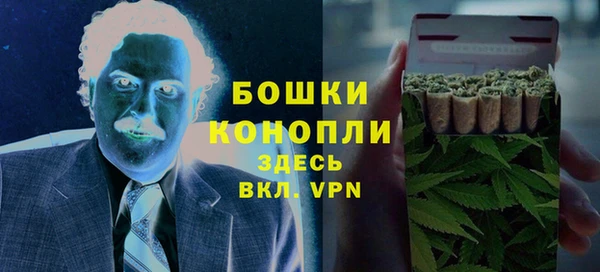 прущие крисы Бородино