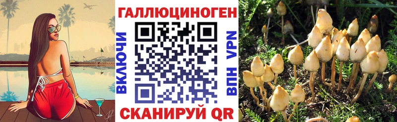 Галлюциногенные грибы Psilocybe  Нариманов 