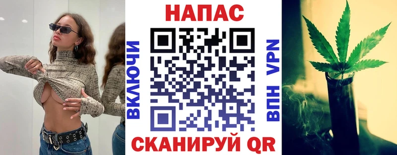 Канабис гибрид  Нариманов 